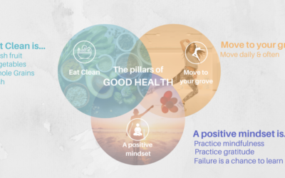 The Pillars of Good Health